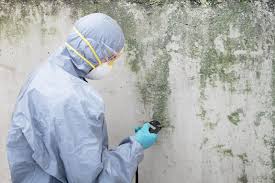 Best Mold Removal for HVAC Installations in USA